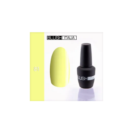  N81 Gel polish 15 ml