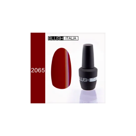 N2065 gel polish 15 ml 